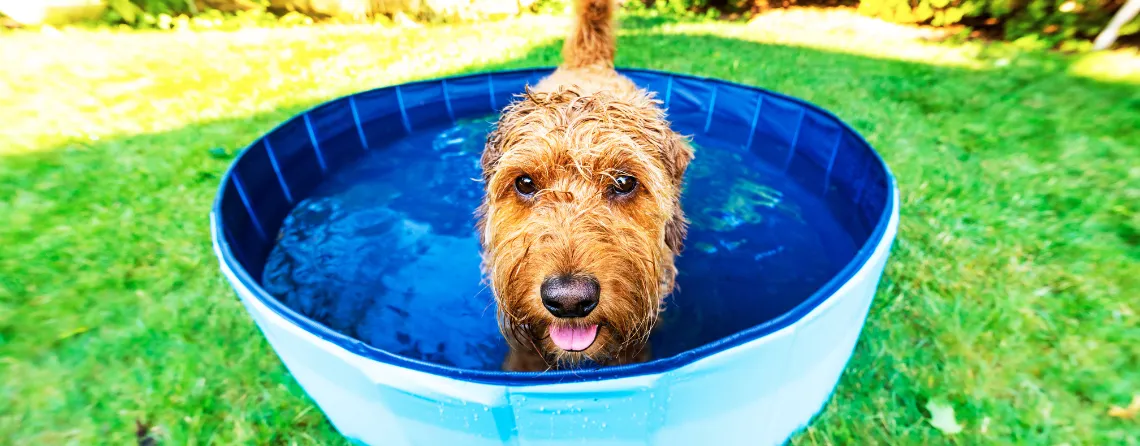 5 Tips to Beat the Heat This Summer