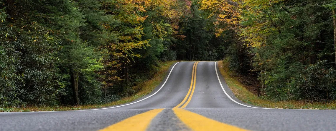 Ensuring a Spooktacular Shine