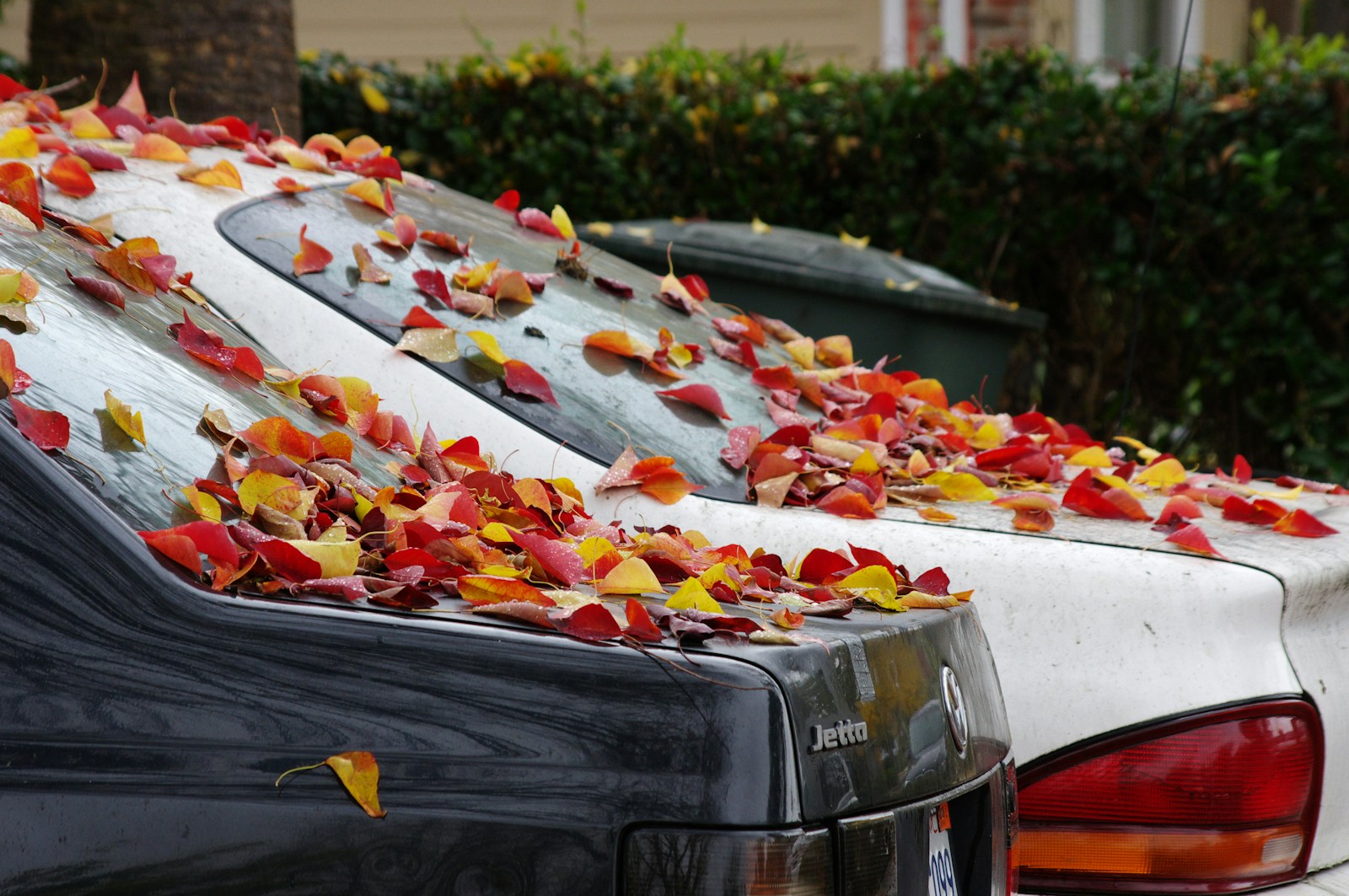 Fall Hazards That Impact Your Car’s Beauty